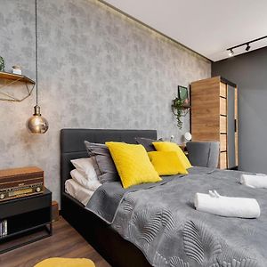 Deluxe Studio met een King Size Bed